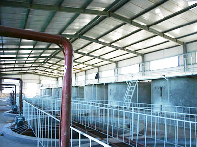 �c���鿴Ԕ����Ϣ���}�����۳��� ��x�Δ���6389